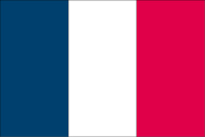 Gæsteflag Frankrig trykt 30x45cm