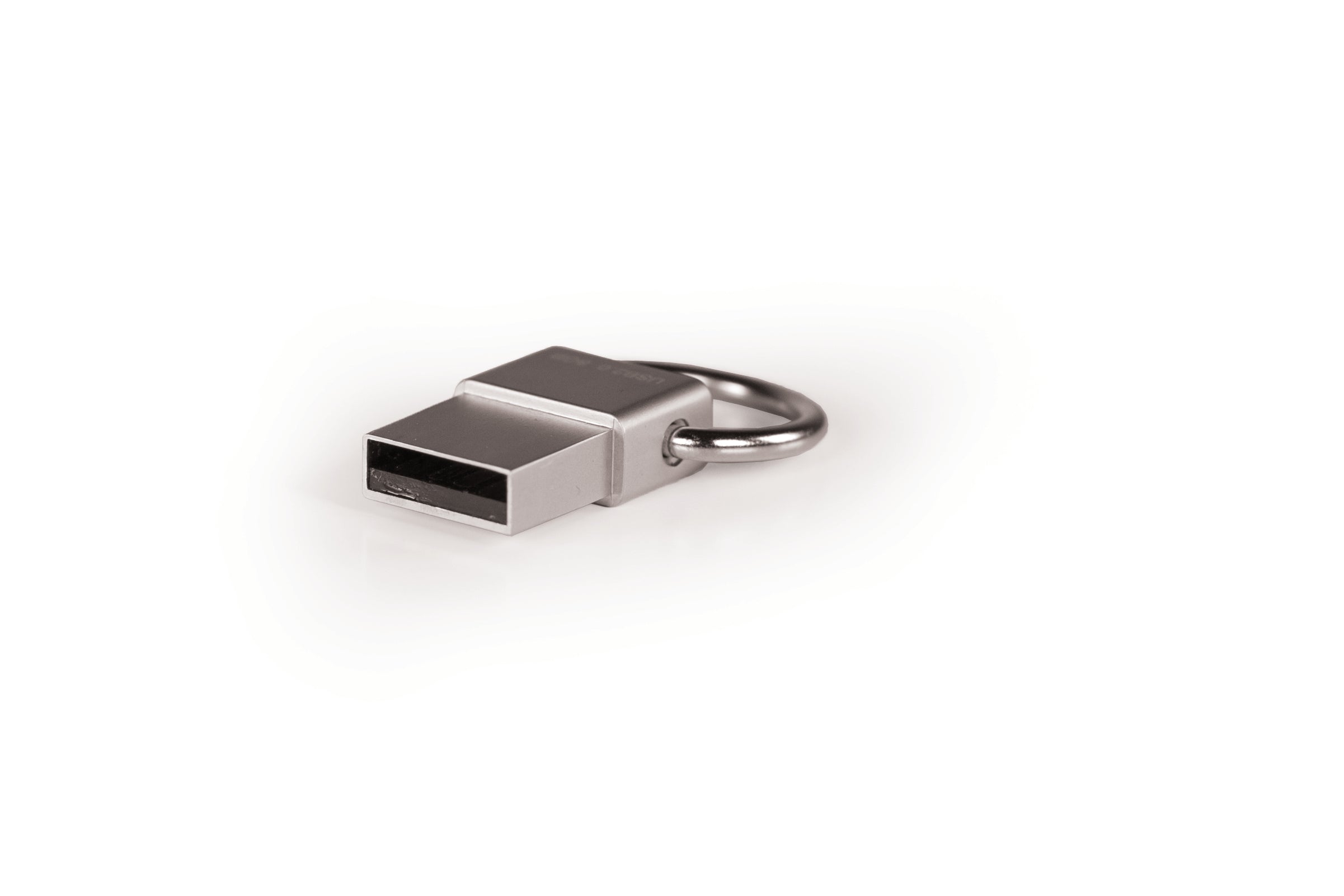 Garmin 16 GB micro USB plug