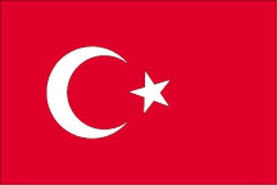 Gæsteflag Tyrkiet trykt 30x45cm